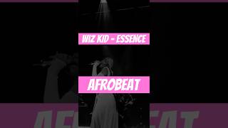 LO MEJOR DEL AFROBEAT  Wizkid  Essence ft Tems  DOMINGO de AFROBEAT [upl. by Eilyac]