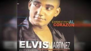 Elvis Martinez  Voy Amarte Audio Oficial álbum Musical Directo Al Corazon  1999 [upl. by Nnaecyoj622]