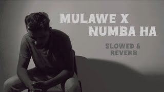 Mulawe X Numba ha Mashup Cover Slowed amp Reverb Version dilubeats numbaha mulawe mihiran [upl. by Artenek]