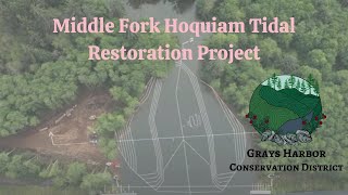 The Tide is Coming Home  Middle Fork Hoquiam Tidal Restoration Project [upl. by Caz]