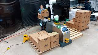 FANUC Collaborative Robot Palletizer  FANUC Cobot  PalletizCRX [upl. by Kier842]