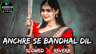 achara se bandh ke rakha mani meraj  slowed and reverb  lofiremix  trending bhojpuri song  remix [upl. by Elkcim]