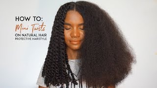 How to Mini Twists on Natural Curly Hair as a Protective Hairstyle [upl. by Herr426]