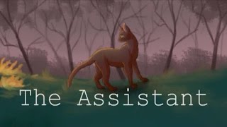 Hollyleaf The Assistant COMPLETE MAP [upl. by Gregory]