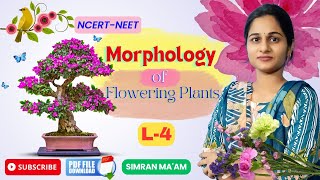 Morphology of Flowering Plants L 4  Inflorescence  NCERT Class 11NEET 2025  Simran Maam [upl. by Culver]