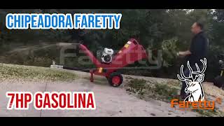 Chipeadora Faretty Gasolina 7HP [upl. by Henryk677]