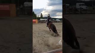 Ranch Bronc riding [upl. by Naujid]