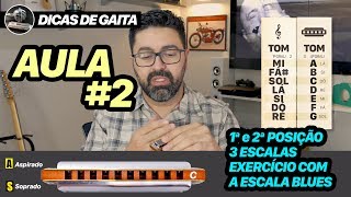 Dicas de Gaita  AULA 2  1ª e 2ª posição  Escala Blues com exercício [upl. by Alletnahs]