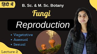 Fungi  Reproduction  in Hindi  Botany  B Sc amp M Sc [upl. by Eterg]