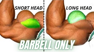 Top 4 best long head and short head biceps exercises at gym [upl. by Ailido611]