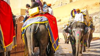 Rajasthan the Land of the Kings  Full Documentary [upl. by Thurmann517]