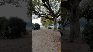 Beautiful relaxing Island in Lake baveno nature baveno italy shorts shortsfeed [upl. by Pardo199]