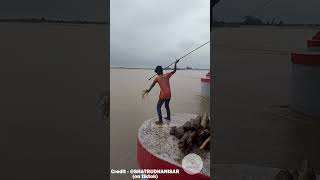 Catching Floating Logs with Spears  facts skill survival fishing amazing interestingfacts [upl. by Ariik]