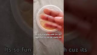 Trying no glue and activator Recipes recipes slime noglue noactivator shampoo fyp viral [upl. by Halehs]