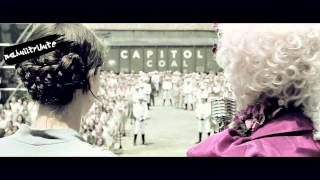 The Hunger Games Reaping Scene HD [upl. by Zinn]