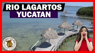 RÍO LAGARTOS TOUR ⭐ Guia completa 2020  Descubriendo Yucatán [upl. by Even621]