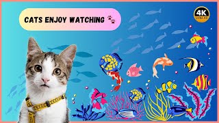 BEST FISH TANK VIDEOS FOR CATS TO WATCH  CAT RELAXING VIDEO  CAT WATCHING VIDEOS CATS LOVE 2024 [upl. by Eerrehc]