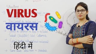 Virus in hindi  What is a virus  Introduction to viruses  structure and symmetry of virus [upl. by Luigino]