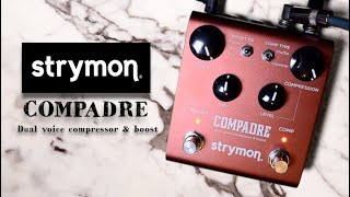 Strymon Compadre dual voice compressor amp boost DEMO  NO TALKING  Alfonso Corace [upl. by Ymij]