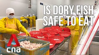 The truth behind dory fish  Undercover Asia  Full Episode [upl. by Adolfo]