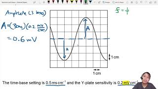 72a Ex2 MJ20 P12 Q23 CRO Readings  AS Waves  Cambridge A Level 9702 Physics [upl. by Niliak650]