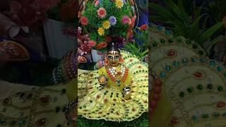 Lalla ne apni pasand ke kapde phane natkatkrishna radheradhe shorts [upl. by Duer]