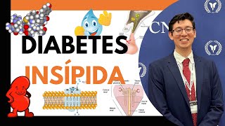 Hormona antidiurética diabetes insípida y polidipsia primaria pt 1 Fisiología Fisiopatología💧🥵 [upl. by Haland]