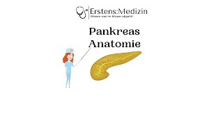 Pankreas Anatomie [upl. by Okiman]