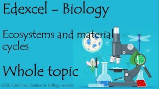 The whole of ECOSYSTEMS Edexcel 91 GCSE Biology or combined science revision paper 2 [upl. by Kamat]