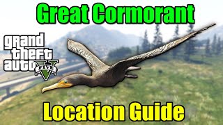 Where amp How to Find Great Cormorants in GTA 5 [upl. by Berthe]