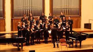 Kammerchor Concerto vocale an der Universität Tübingen [upl. by Nisior]