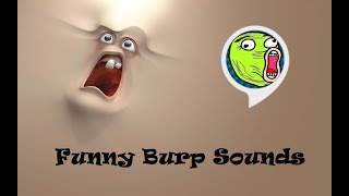 Burp Sounds Funny [upl. by Ecydnac]