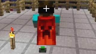 Minecon Character Cape [upl. by Awuhsoj]