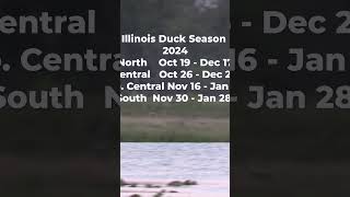 Illinois Duck Seasons 2024 [upl. by Berny]