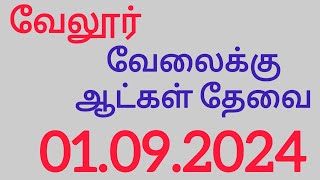 Vellore job vacancy today  Vellore jobs in tamil  Vellore jobs 2024 saktheevlogs [upl. by Ocisnarf]