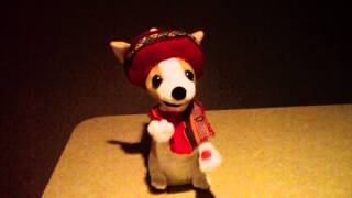 Christmas Chihuahua sings Donde Esta Santa Claus [upl. by Prior]