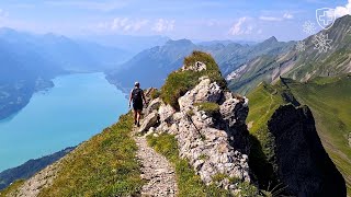 Spectacular ridge hike from Turren to Brienzer Rothorn 20240830 [upl. by Kovar]