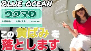 ウタマロ石鹸【洋服・首元の黄ばみ等におすすめ】落とし方 おうちで過ごそう【愛ぷっちーチャンネル】 [upl. by Salangia]