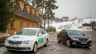 Тестдрайв Skoda Superb и Honda Accord [upl. by Potash]