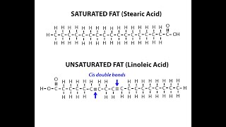 Chemical Structures of Examples of Saturated and Unsaturated Fatty Acids [upl. by Naimed]