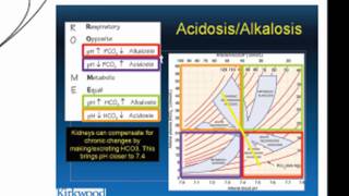 pH Acid Homeostasis Part 2 [upl. by Alidus907]