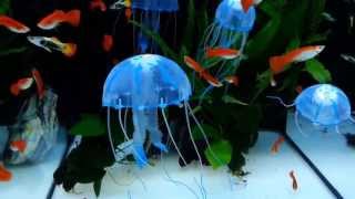 Méduse artificielles pour aquarium [upl. by Isbella93]