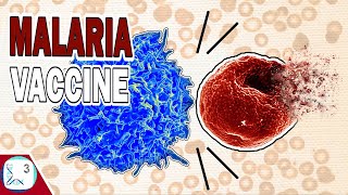 Can Two Malaria Vaccines Eradicate Malaria [upl. by Halik404]