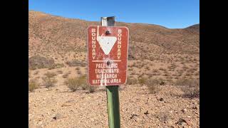 Quick video of a trail run [upl. by Huggins]