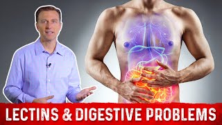 High amp Low Lectin Foods amp Digestive Problems Explained by DrBerg [upl. by Raphaela]