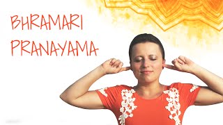 Bhramari Pranayama  Bee Breathing Technique for Stress relief Anxiety Depression [upl. by Lynn271]