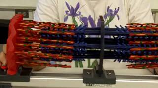 Sliding Filament Sarcomere [upl. by Lezned]