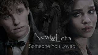 Newt and Tina  You are the reason [upl. by Lim]