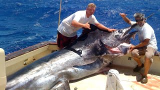 Amazing Fastest Giant Bluefin Tuna and Swordfish Fishing skill  Most Satisfying Sea Fishing Videos [upl. by Ithsav684]