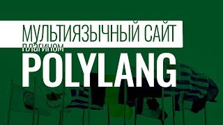 Мультиязычный сайт на WordPress 2017 Плагин Polylang [upl. by Gherardi]